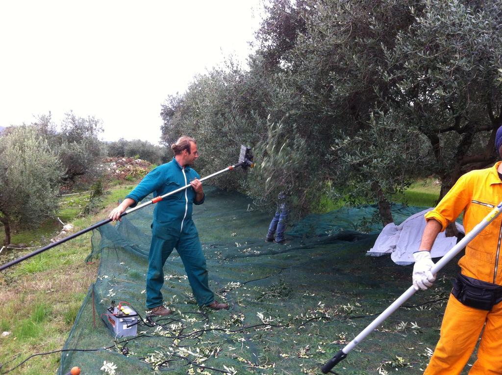 Agriturismo Casa Rosa Verona Dış mekan fotoğraf