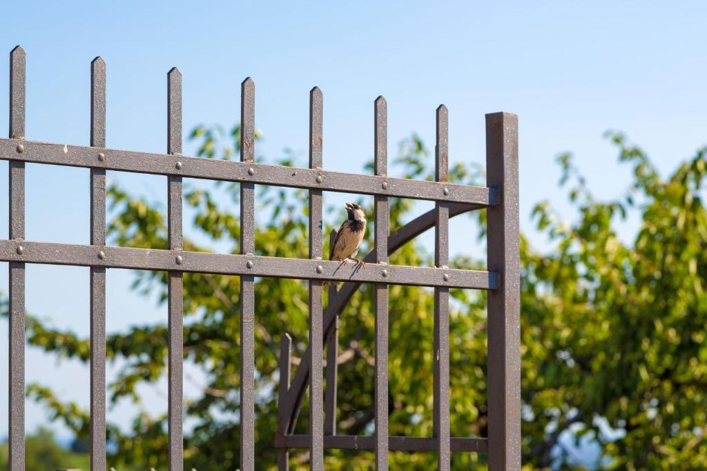 Agriturismo Casa Rosa Verona Dış mekan fotoğraf