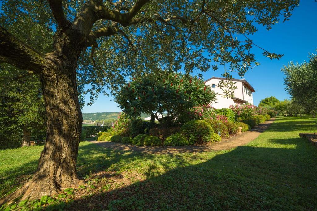 Agriturismo Casa Rosa Verona Dış mekan fotoğraf